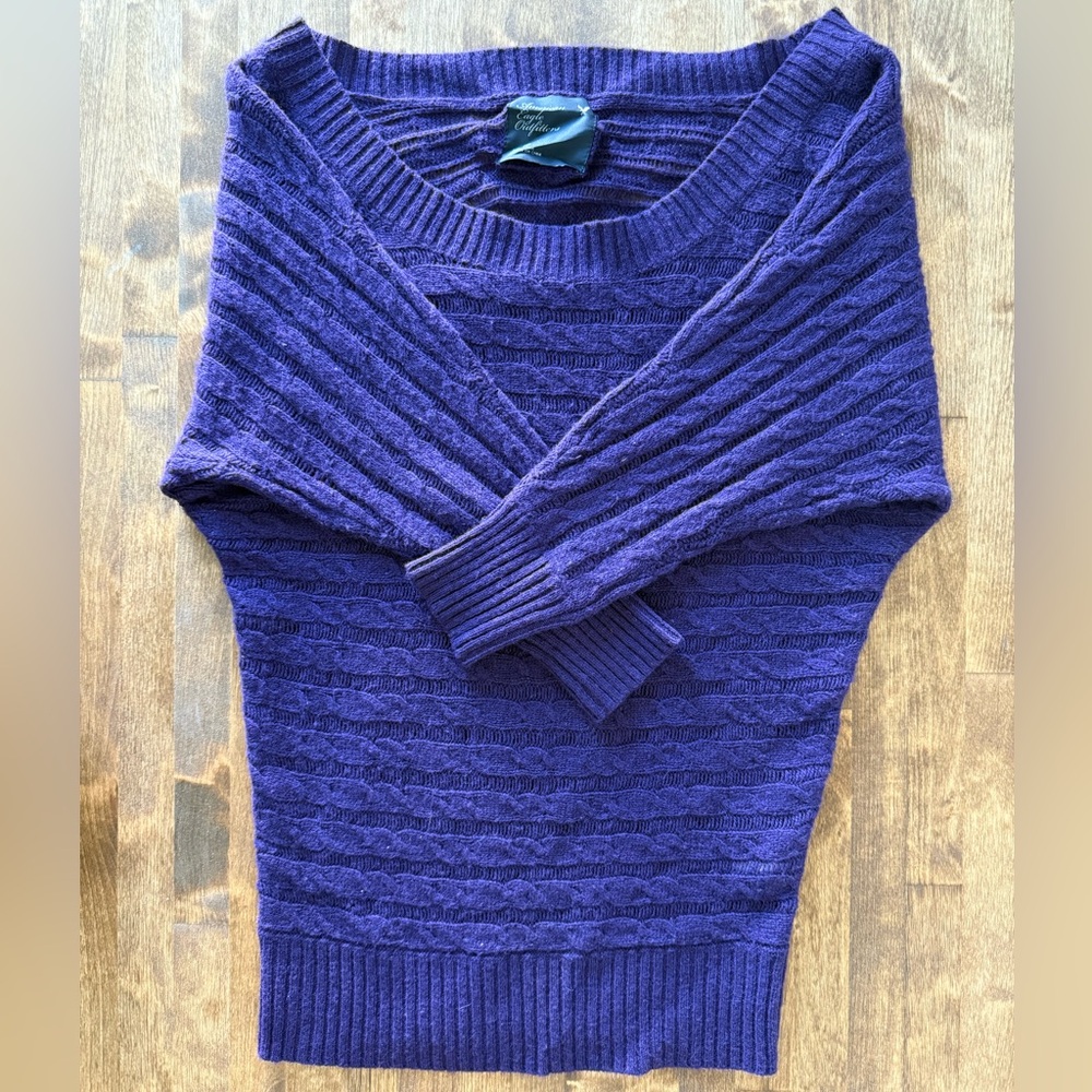 American Eagle Outfitters Deep Purple Sweater Gently Used